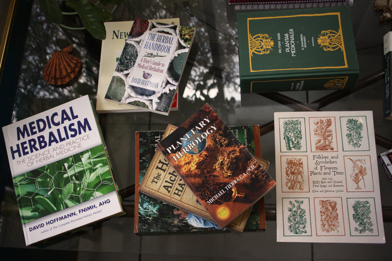 Libros para acercarse al Reino Vegetal