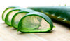 Suculentas poderosas: aloe y kalanchoe