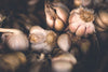 7 plantas que te ayudan a repeler insectos de manera natural