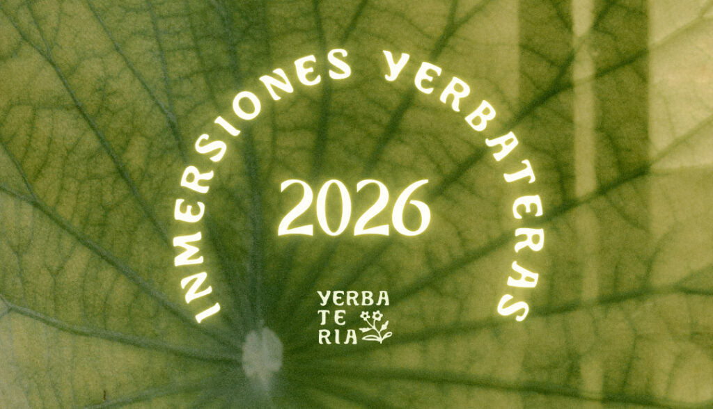 Inmersiones Yerbateras – 2026