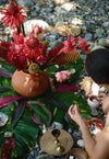 Las Plantas del Amor