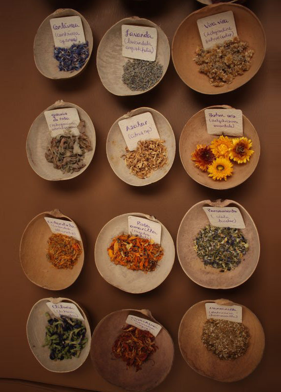 Nueve Años de Magia Herbal