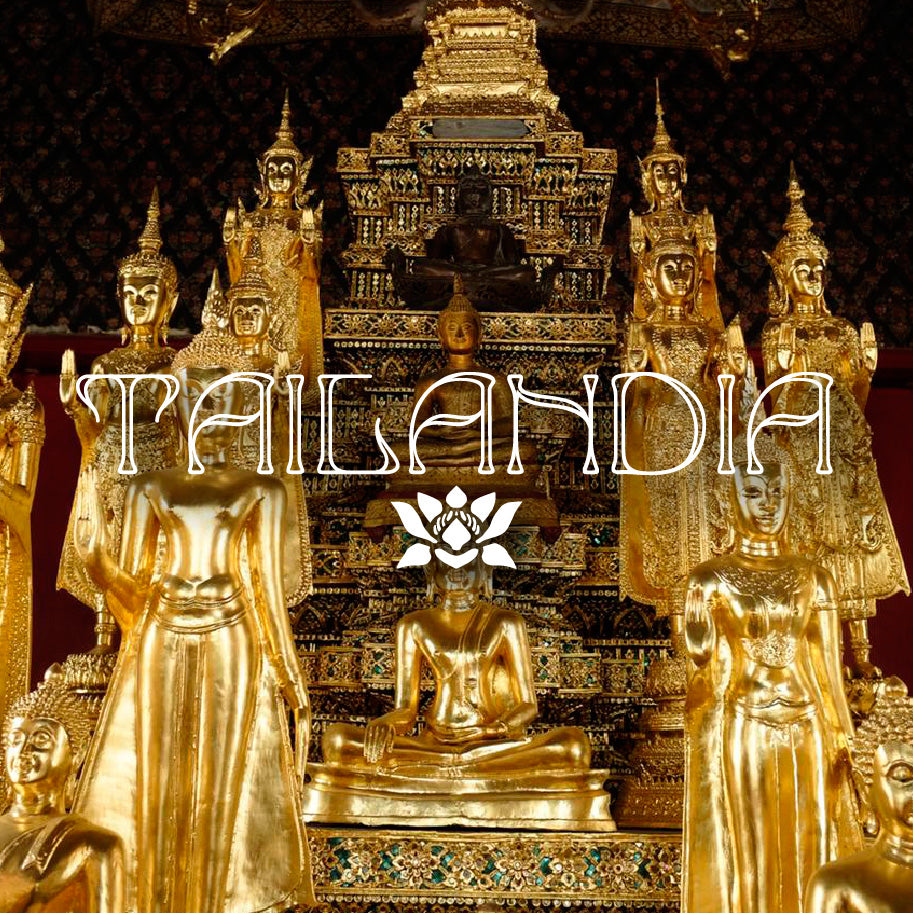 TAILANDIA · Peregrinación al reino A-dorado