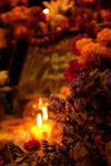 T E M P L O • ALTAR DE MUERTOS