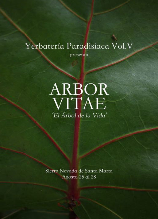Yerbatería Paradisíaca • Arbor Vitae