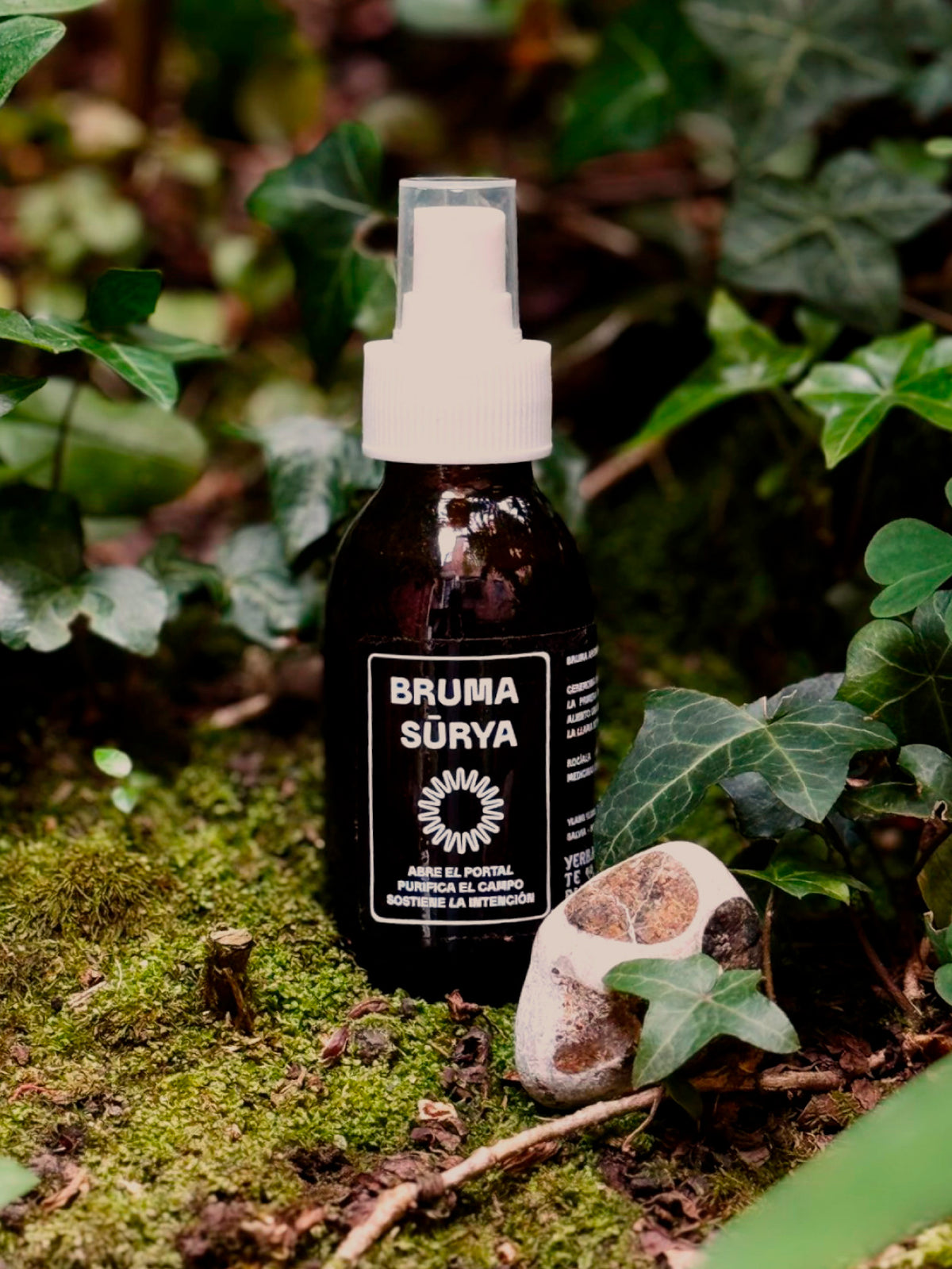 Bruma Sūrya