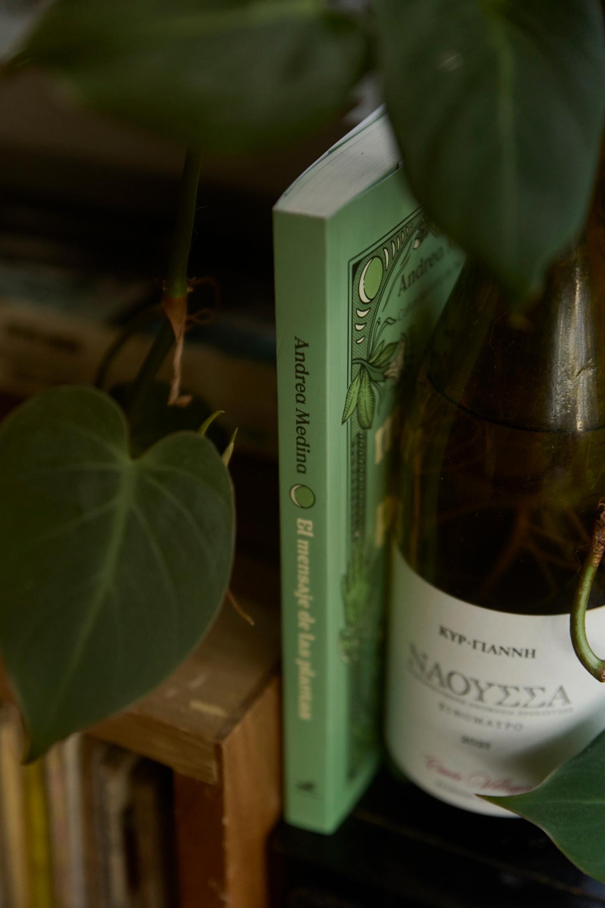 Libro - El Mensaje de las Plantas