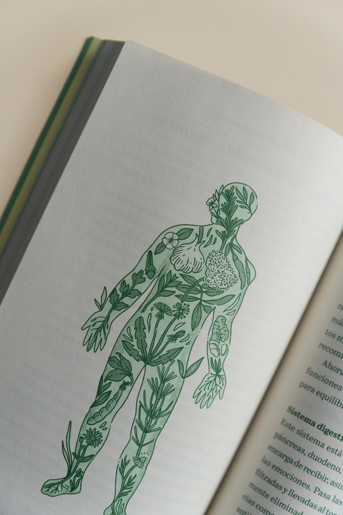 Libro - El Mensaje de las Plantas