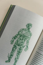 Libro - El Mensaje de las Plantas