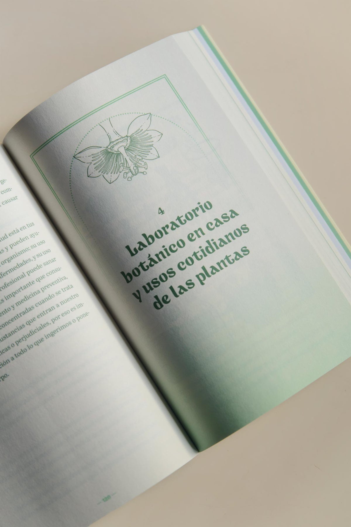 Libro - El Mensaje de las Plantas