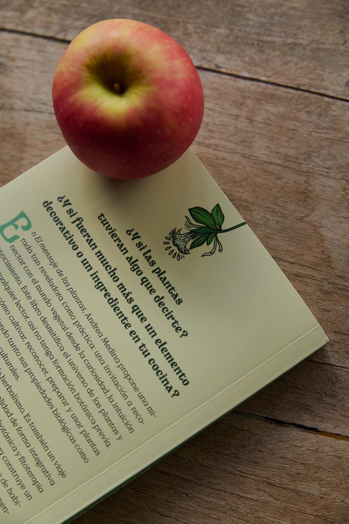 Libro - El Mensaje de las Plantas
