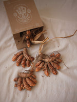 Curcuma Longa Seca