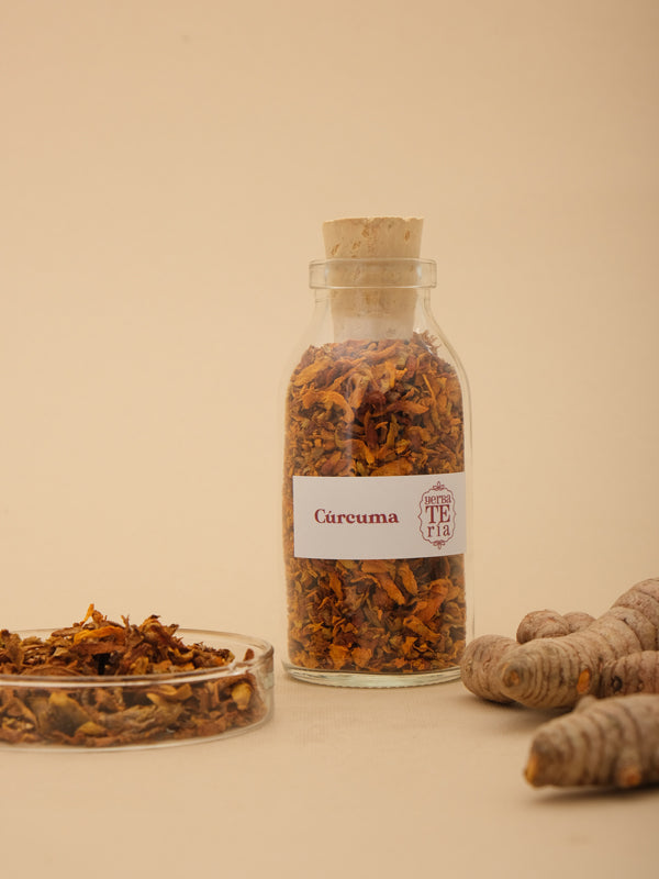 Curcuma Longa Seca