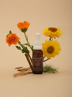 Elixir Alegría