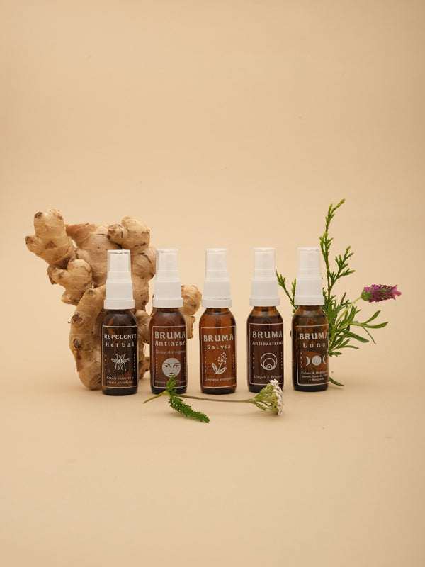 Kit Favoritos Mini