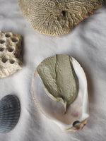 Hydra Mascarilla Verde