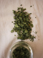 Moringa Oleifera (Hojas Secas)