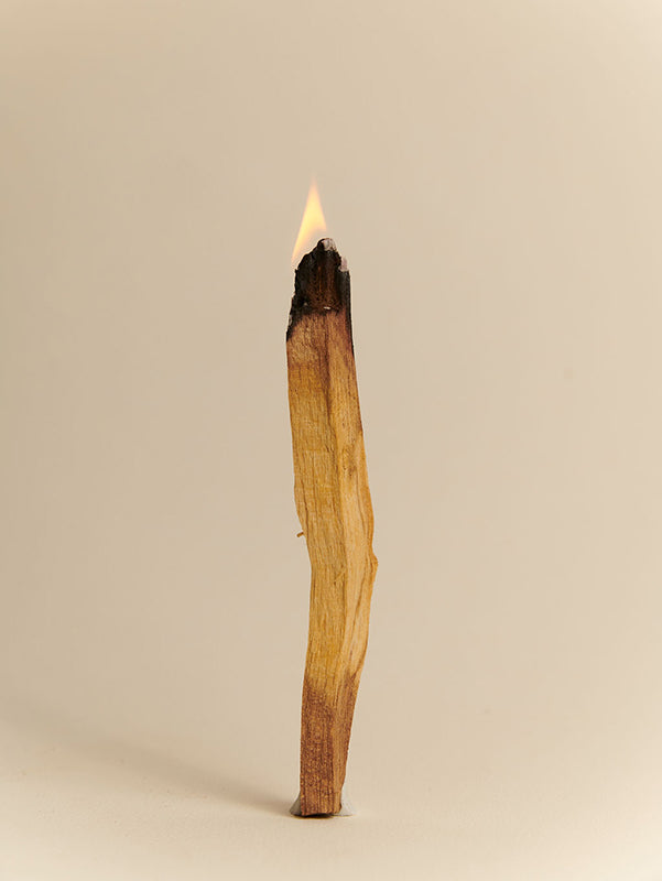Sahumerio Palosanto