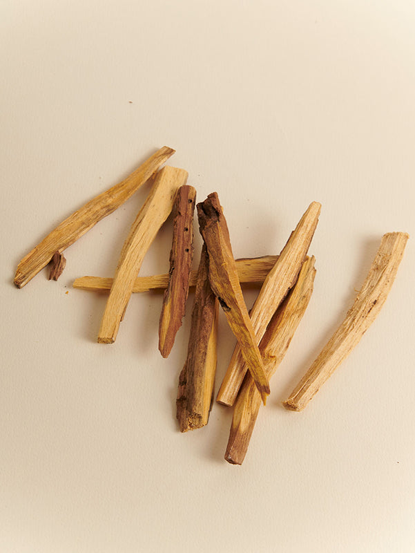 Sahumerio Palosanto