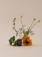 Serum Antiojeras