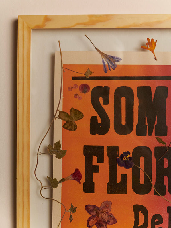 Herbario Somos Flores · Macondo Herald