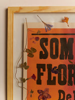 Herbario Somos Flores · Macondo Herald
