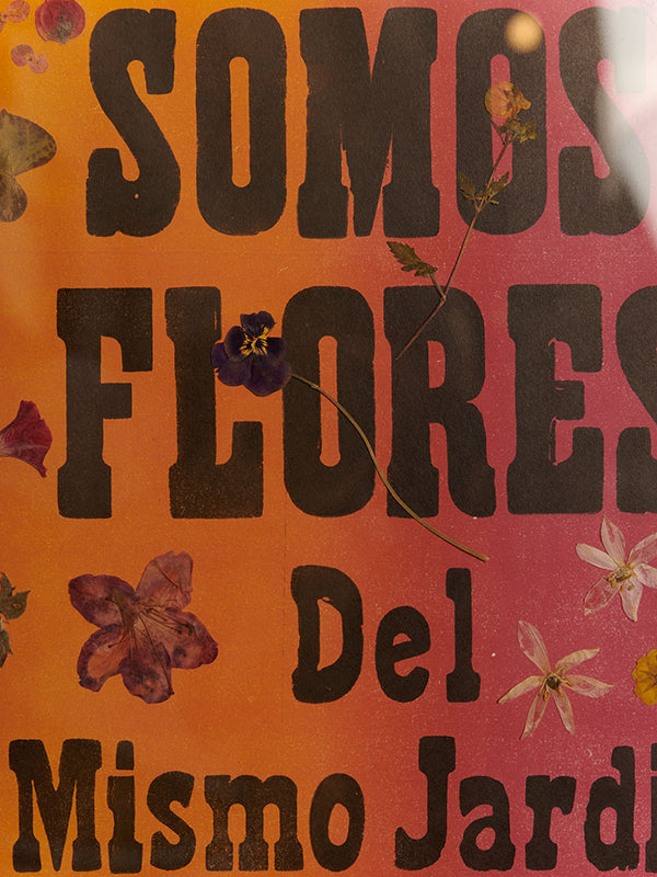 Herbario Somos Flores · Macondo Herald