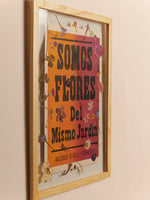 Herbario Somos Flores · Macondo Herald
