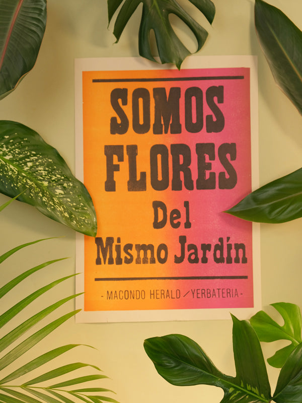 Somos Flores · Macondo Herald