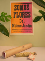 Somos Flores · Macondo Herald