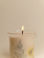 Vela de Soja