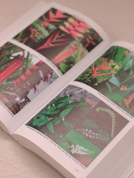 Libro Atlas Plantas Medicinales