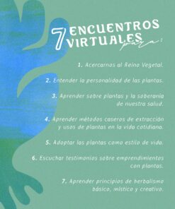 7 encuentros virtuales