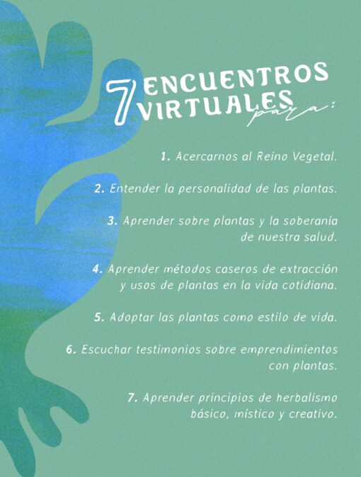 7 encuentros virtuales